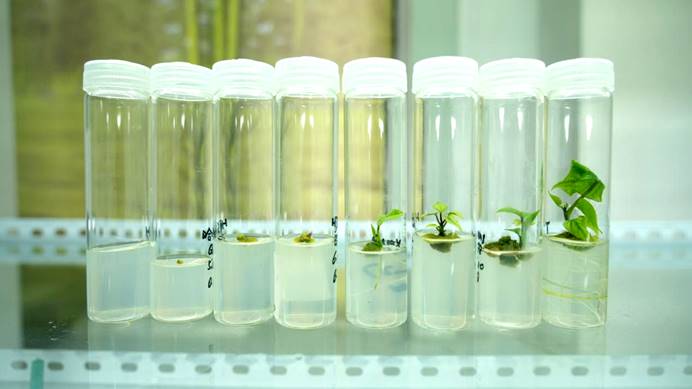 EVO����(�й���)��Ѷ����