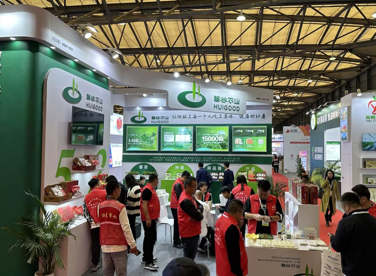 EVO����(�й���)��Ѷ����