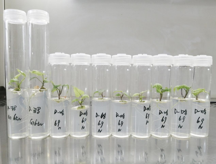 EVO����(�й���)��Ѷ����