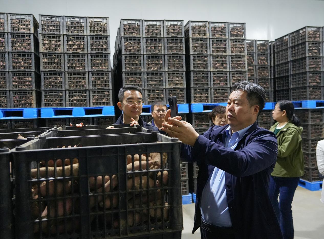 EVO����(�й���)��Ѷ����