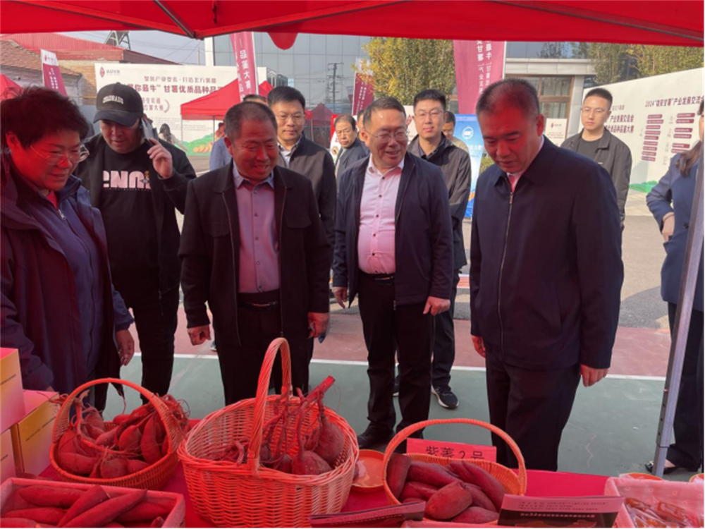 EVO����(�й���)��Ѷ����