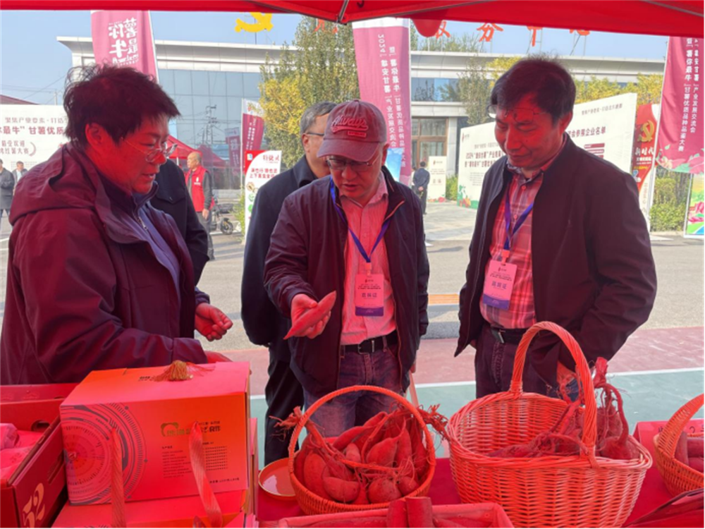 EVO����(�й���)��Ѷ����