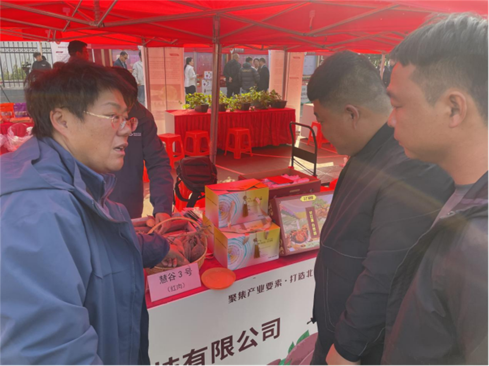 EVO����(�й���)��Ѷ����