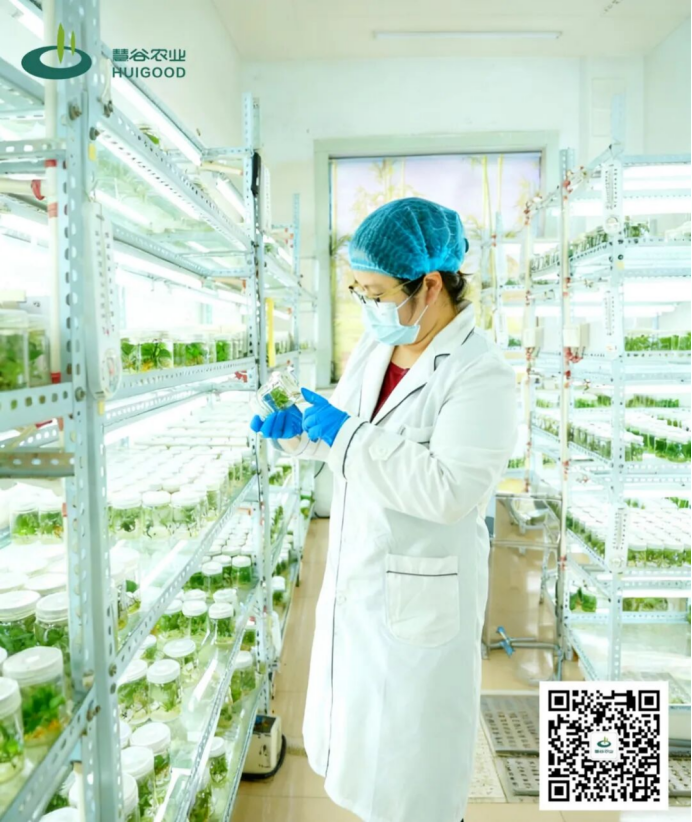 EVO����(�й���)��Ѷ����