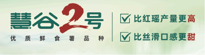 EVO����(�й���)��Ѷ����