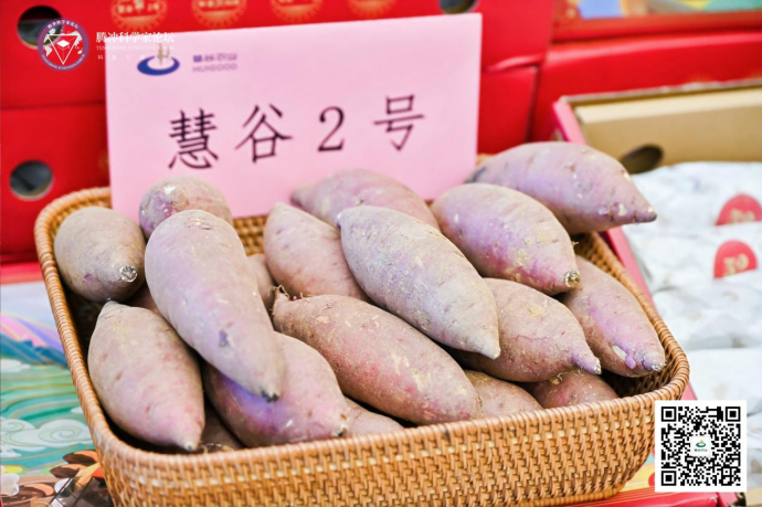 EVO����(�й���)��Ѷ����