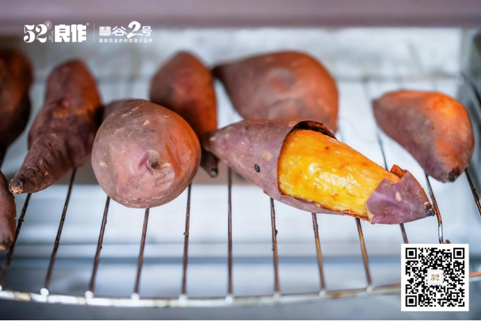 EVO����(�й���)��Ѷ����