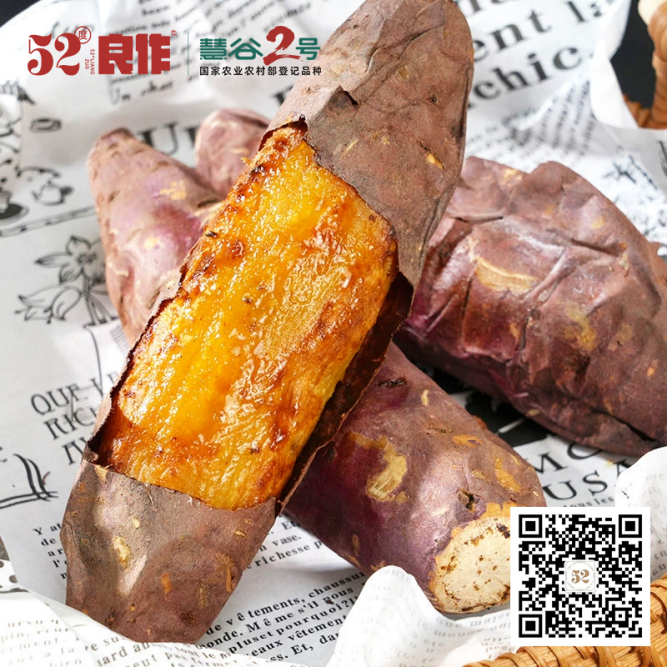 EVO����(�й���)��Ѷ����