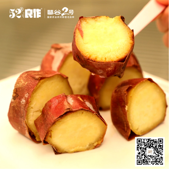 EVO����(�й���)��Ѷ����