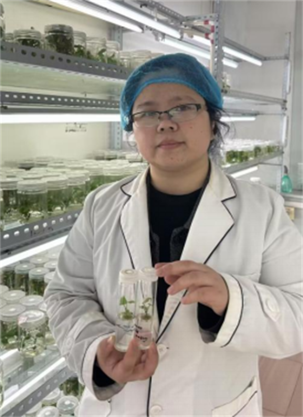 EVO����(�й���)��Ѷ����