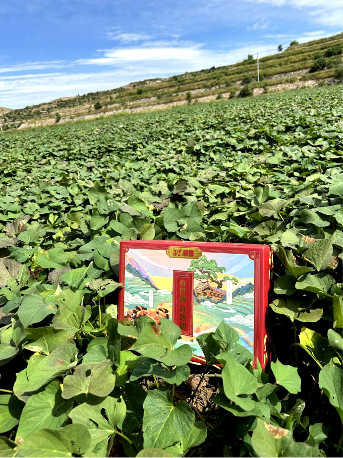 EVO����(�й���)��Ѷ����