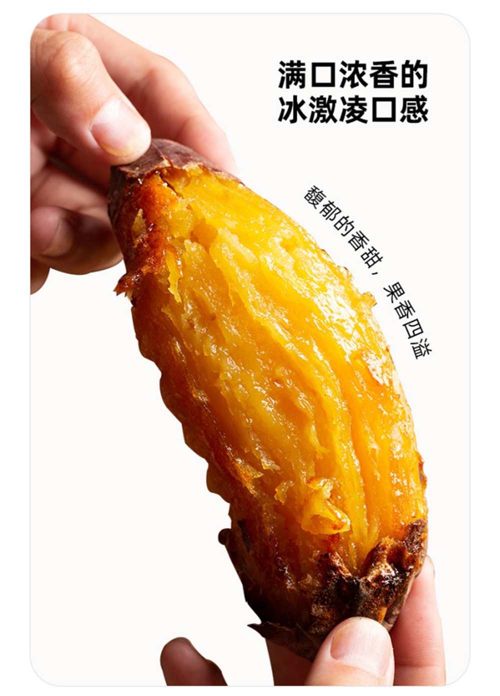 EVO����(�й���)��Ѷ����