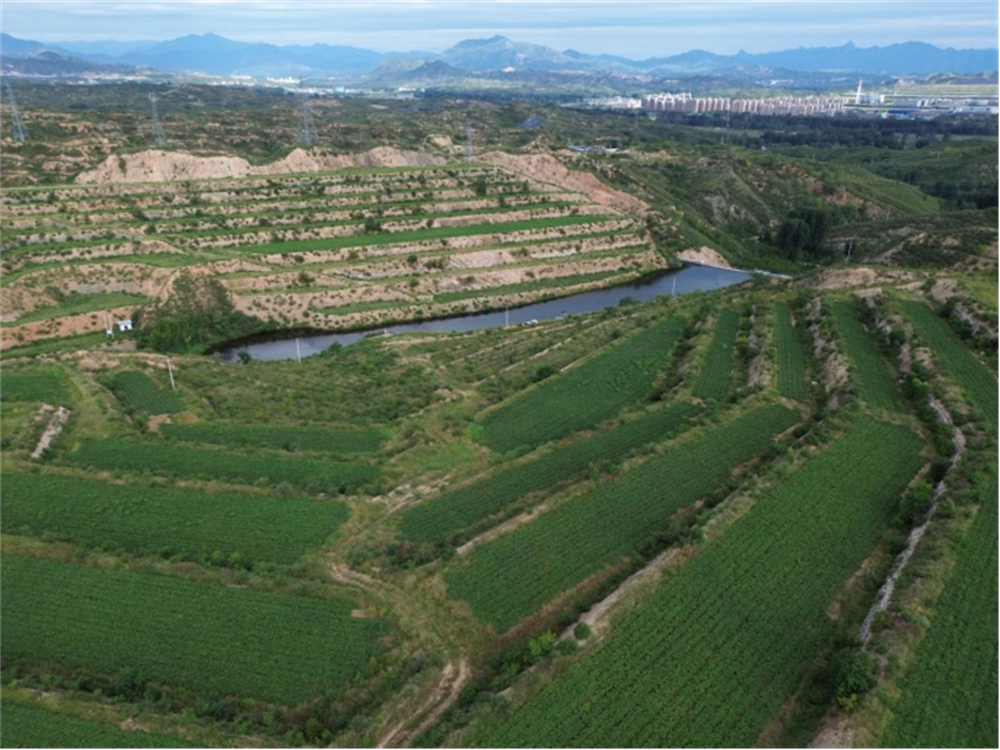 EVO����(�й���)��Ѷ����