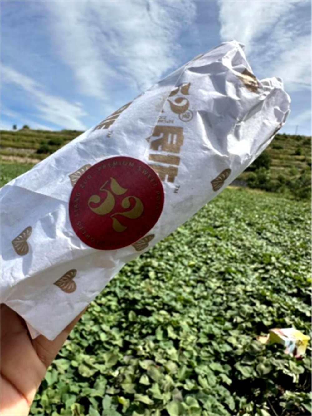 EVO����(�й���)��Ѷ����