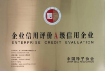 EVO����(�й���)��Ѷ����