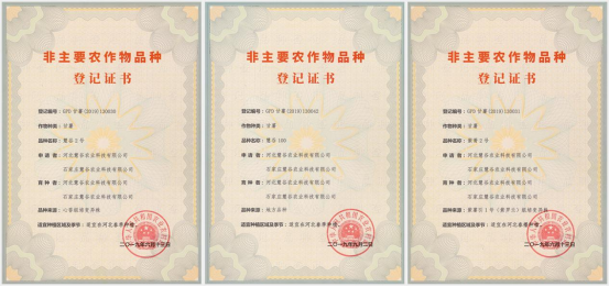 EVO����(�й���)��Ѷ����