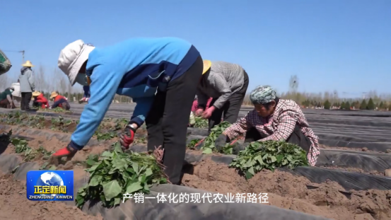 EVO����(�й���)��Ѷ����