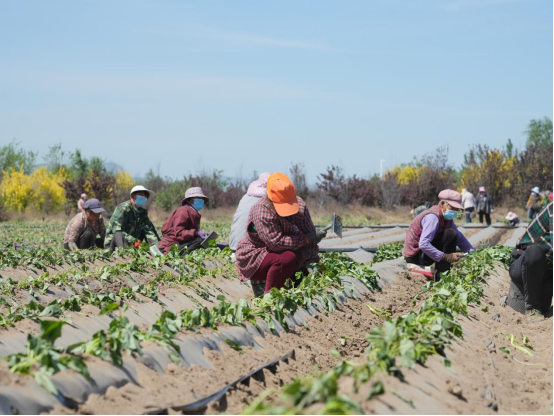 EVO����(�й���)��Ѷ����