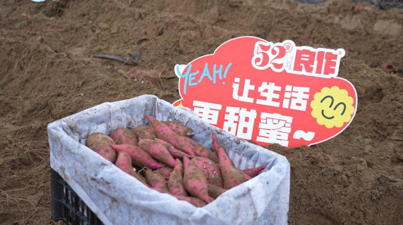 EVO����(�й���)��Ѷ����