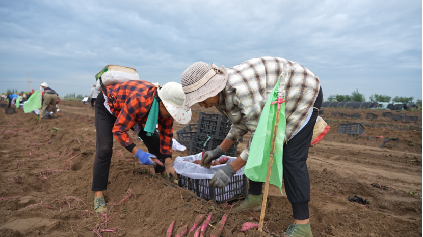 EVO����(�й���)��Ѷ����