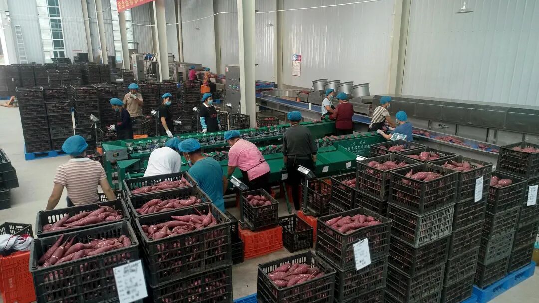 EVO����(�й���)��Ѷ����