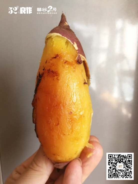 EVO����(�й���)��Ѷ����