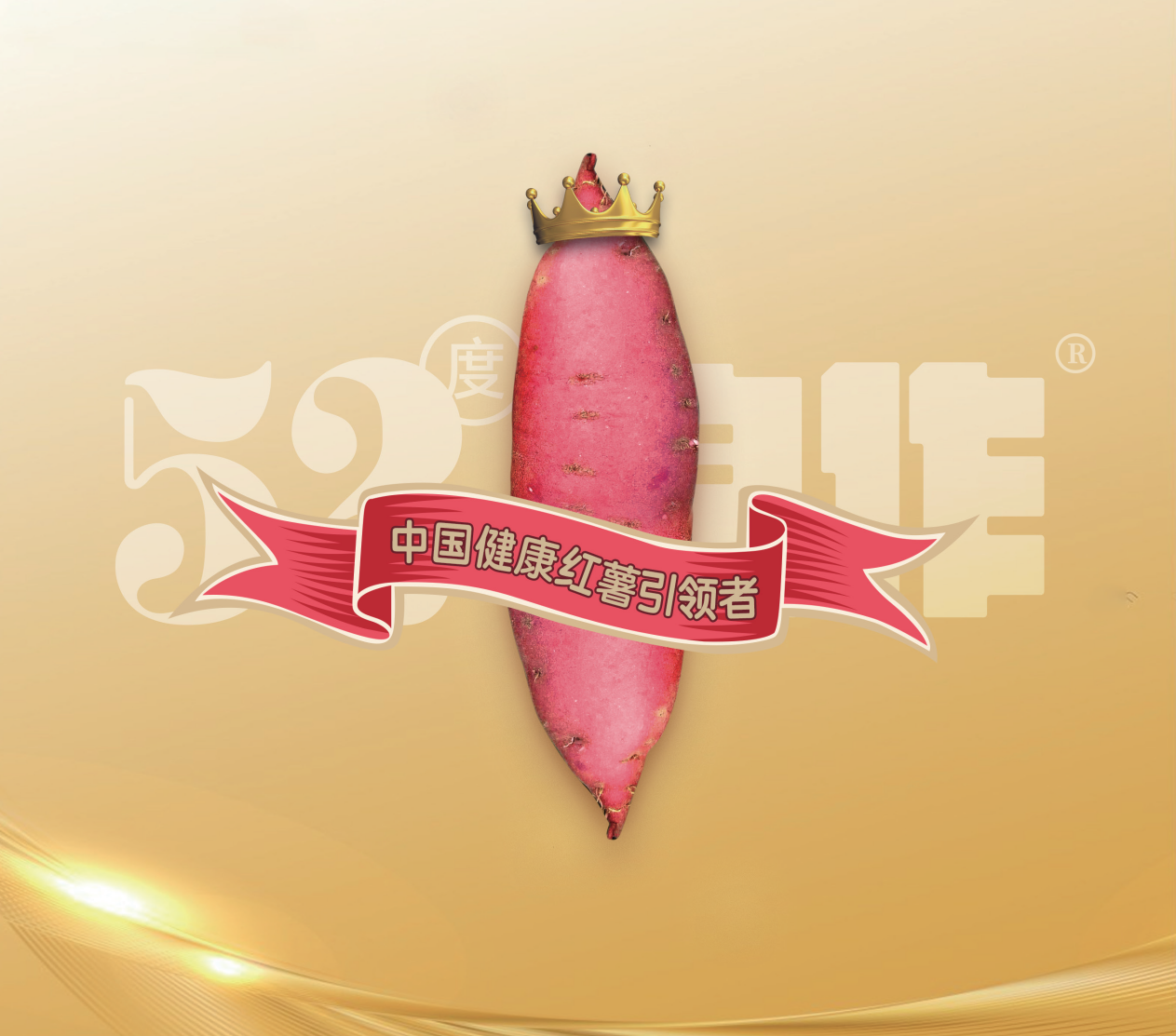 EVO����(�й���)��Ѷ����