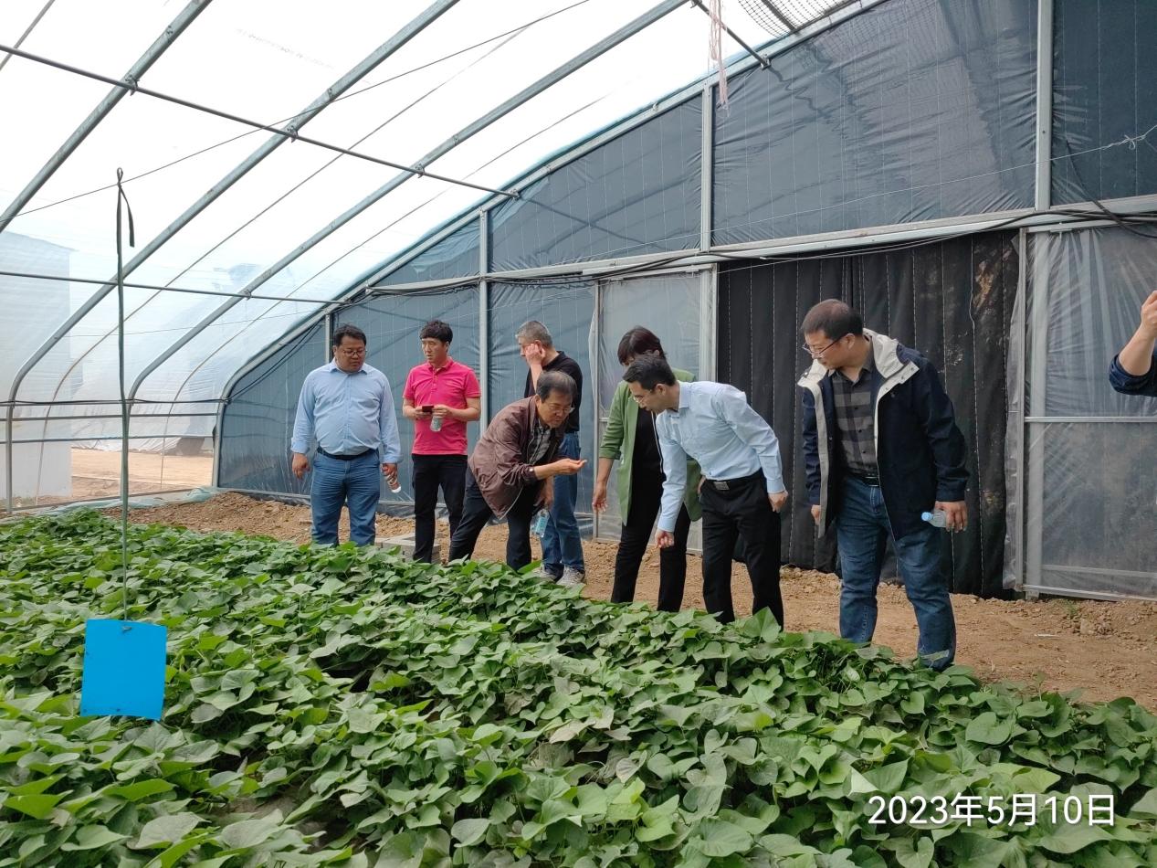 EVO����(�й���)��Ѷ����