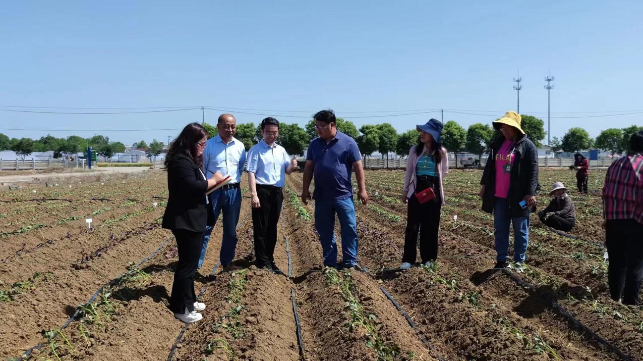 EVO����(�й���)��Ѷ����